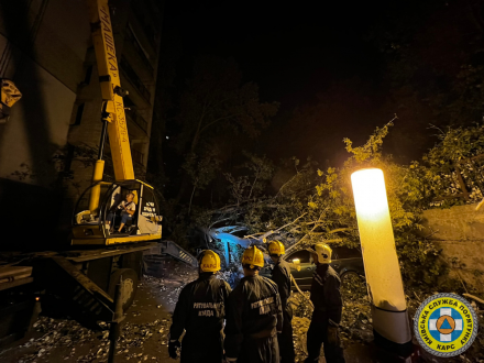 Рятувальники КАРС прибрали дерево, що впало на припарковані автомобілі у Шевченківському районі