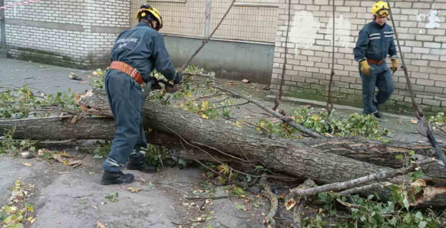 Рятувальники КАРС ліквідували аварійність дерева, гілки якого впали на дах житлового будинку у Солом’янському районі