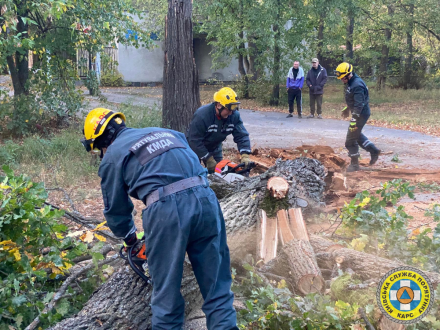 За вихідні рятувальники КАРС відпрацювали 8 виїздів, пов'язаних із ліквідацією наслідків негоди
