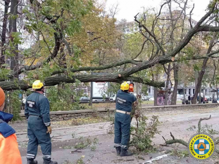 28 жовтня рятувальники КАРС відпрацювали 24 виїзди на ліквідацію надзвичайних ситуацій, спричинених вітром