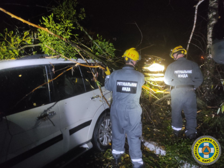 Рятувальники КАРС 5 листопада прибрали 3 дерева, повалених сильним нічним вітром