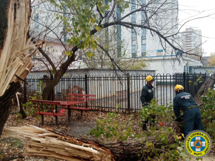 Рятувальники КАРС прибрали дерево, що впало на паркан у Дніпровському районі