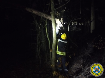 Рятувальники КАРС прибрали 2 дерева, повалених сильним вітром та хуртовиною