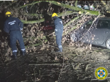 Рятувальники КАРС прибрали дерево, що впало вночі на дорогу та припарковані автомобілі у Солом’янському районі