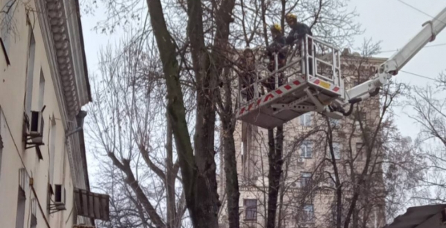 Рятувальники КАРС прибрали важкодоступне аварійне дерево біля житлового будинку в Печерському районі
