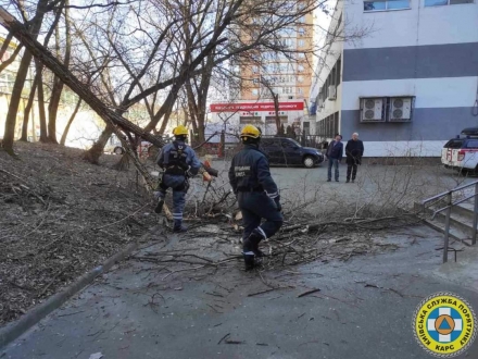 Рятувальники КАРС прибрали аварійне дерево біля лікарні